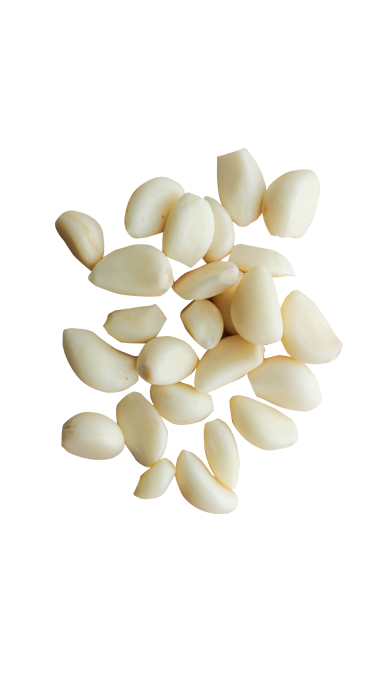 shape